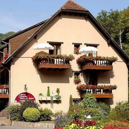 Domaine Le Moulin Hotel Ottrott